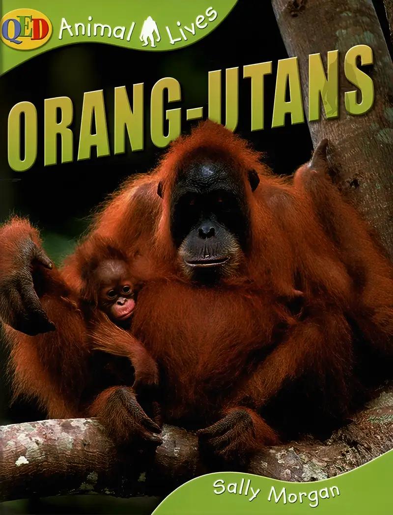 Orang-utans