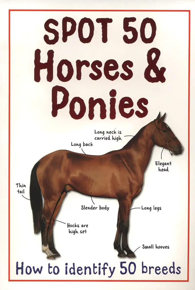 Horses and Ponies (Farmyard Friends)