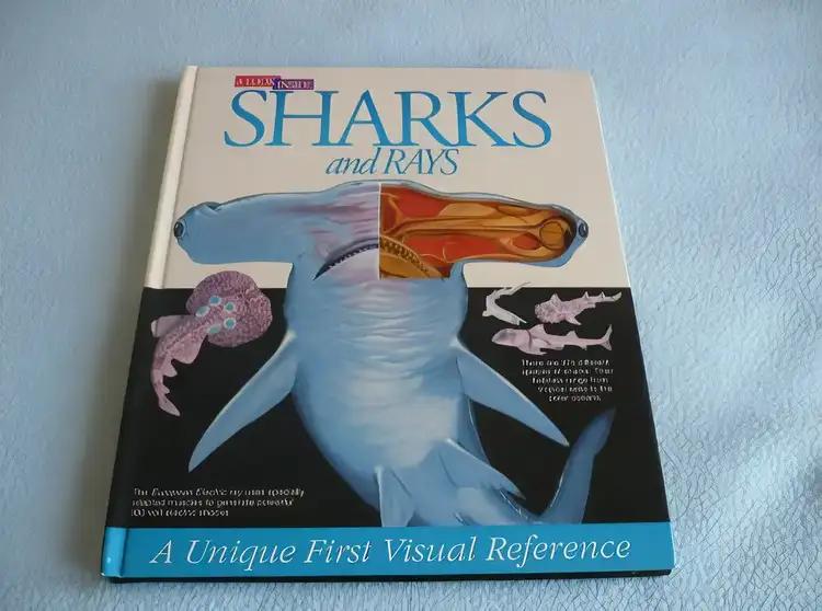 Sharks and Rays (Look Inside Books)