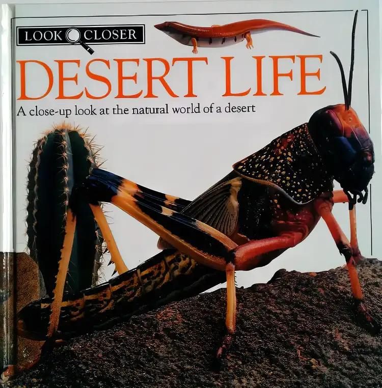 Look Closer: Desert Life