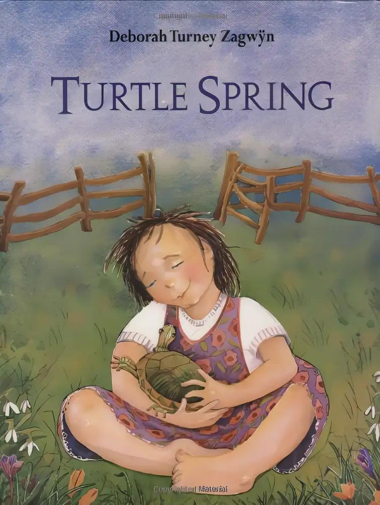 Turtle Spring