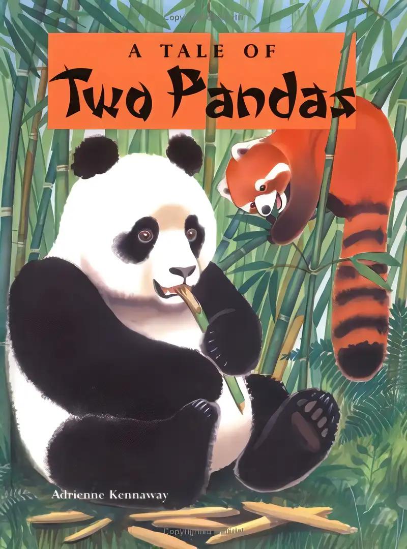 A Tale of Two Pandas