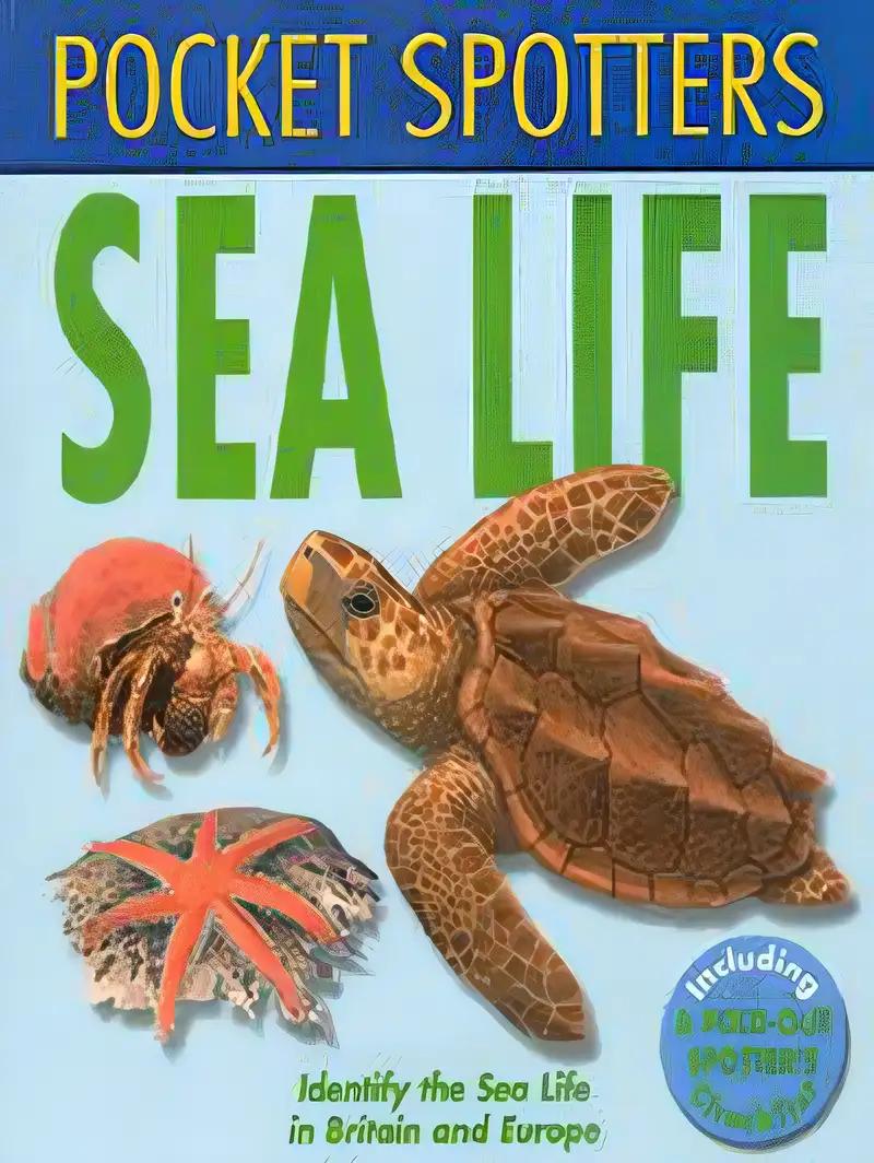 Sealife