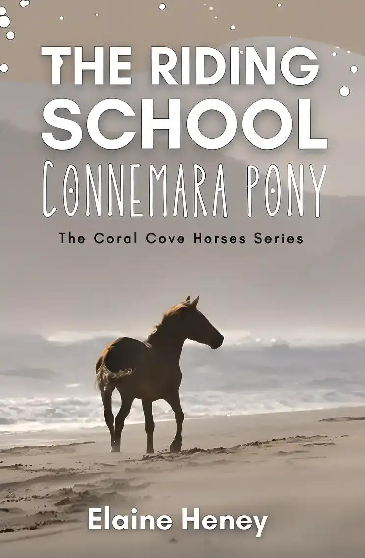 The Riding School Connemara Pony