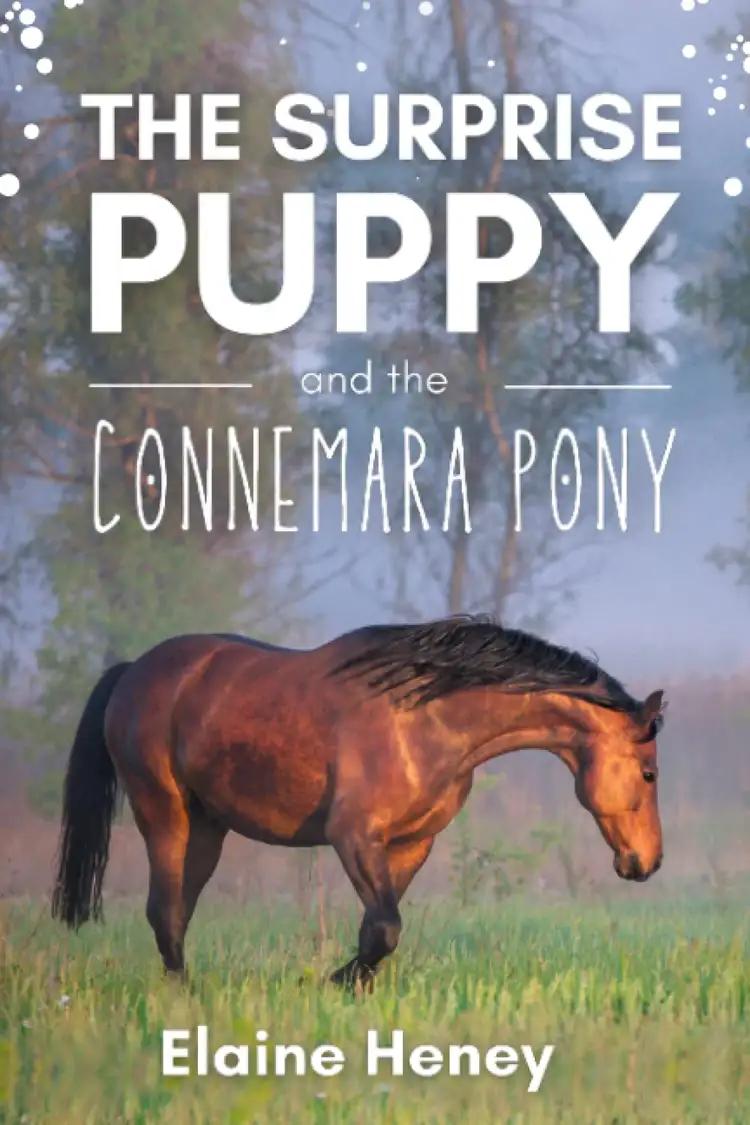 The Surprise Puppy and the Connemara Pony