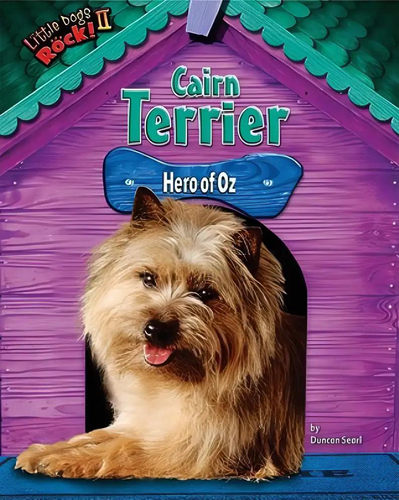 Cairn Terrier: Hero of Oz (Little Dogs Rock! II)