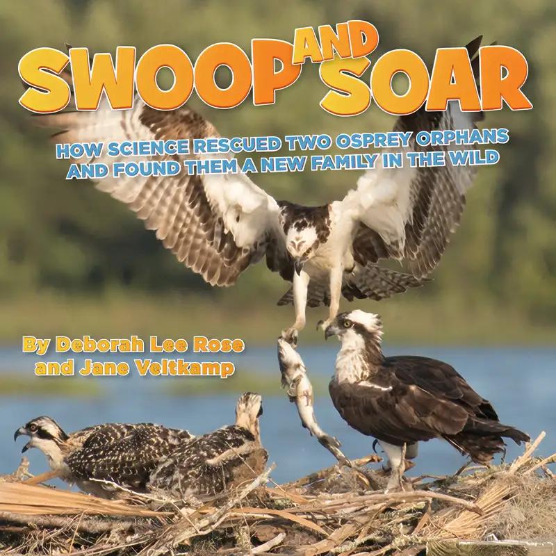 Swoop and Soar: How Science Rescued Two Osprey Orphans and Found Them a New Family in the Wild