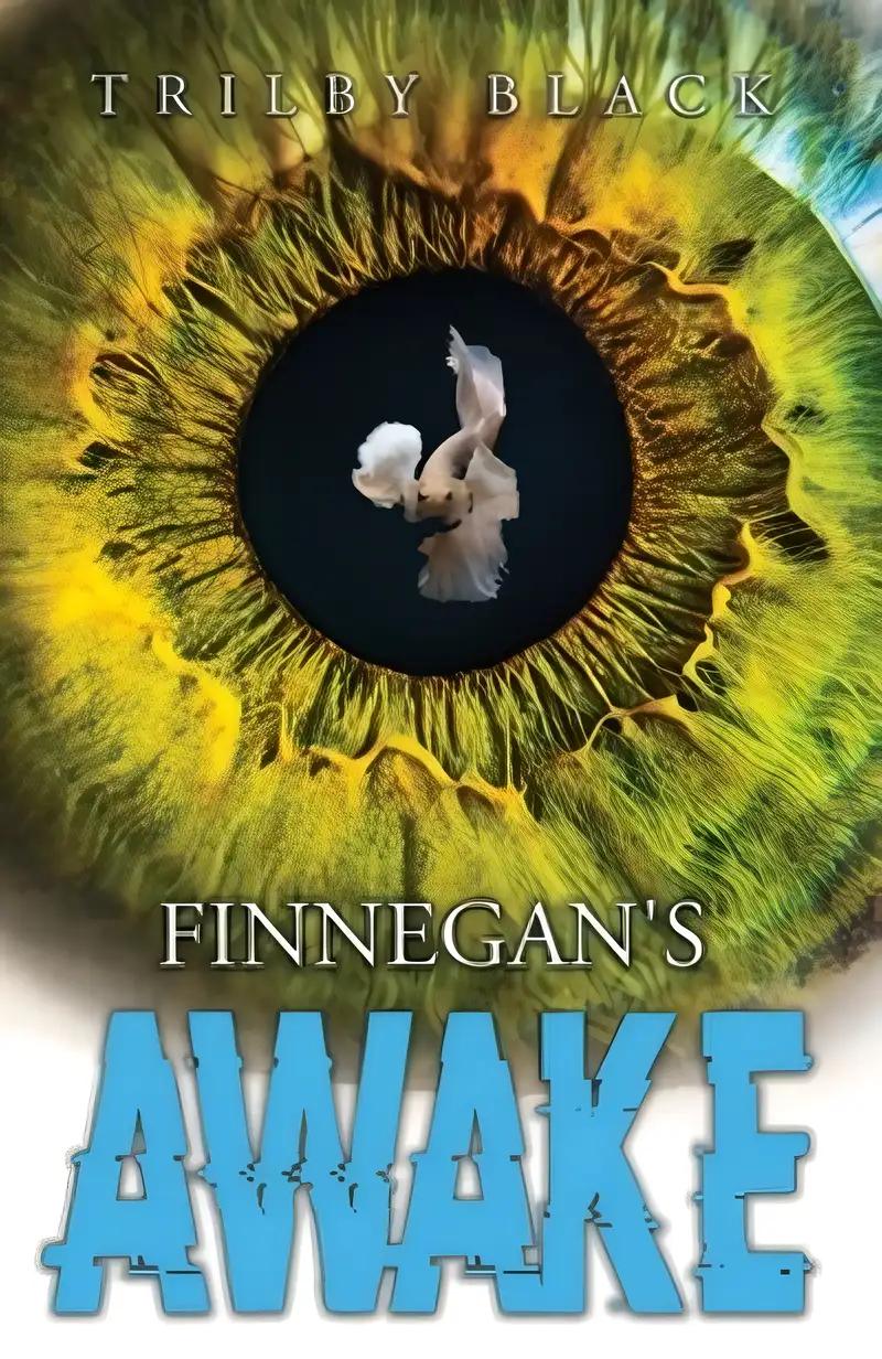 Finnegan's Awake