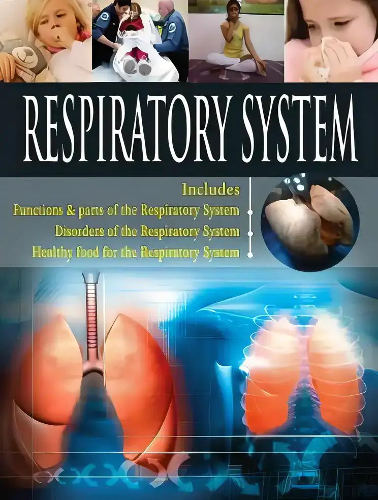 Respiratory System