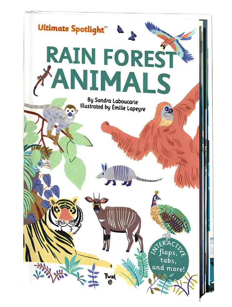 Ultimate Spotlight: Rain Forest Animals