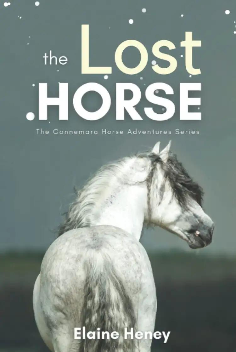 The Lost Horse