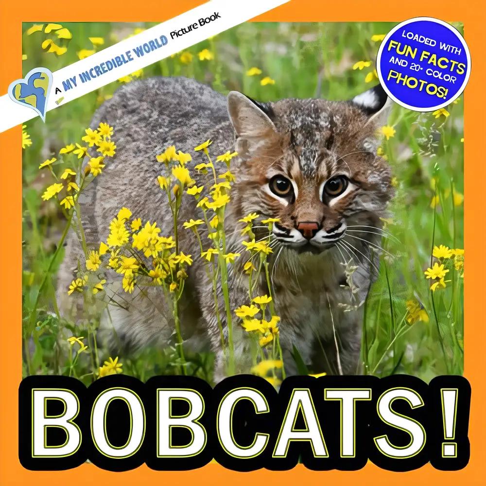 Bobcats!: A My Incredible World Picture Book for Children