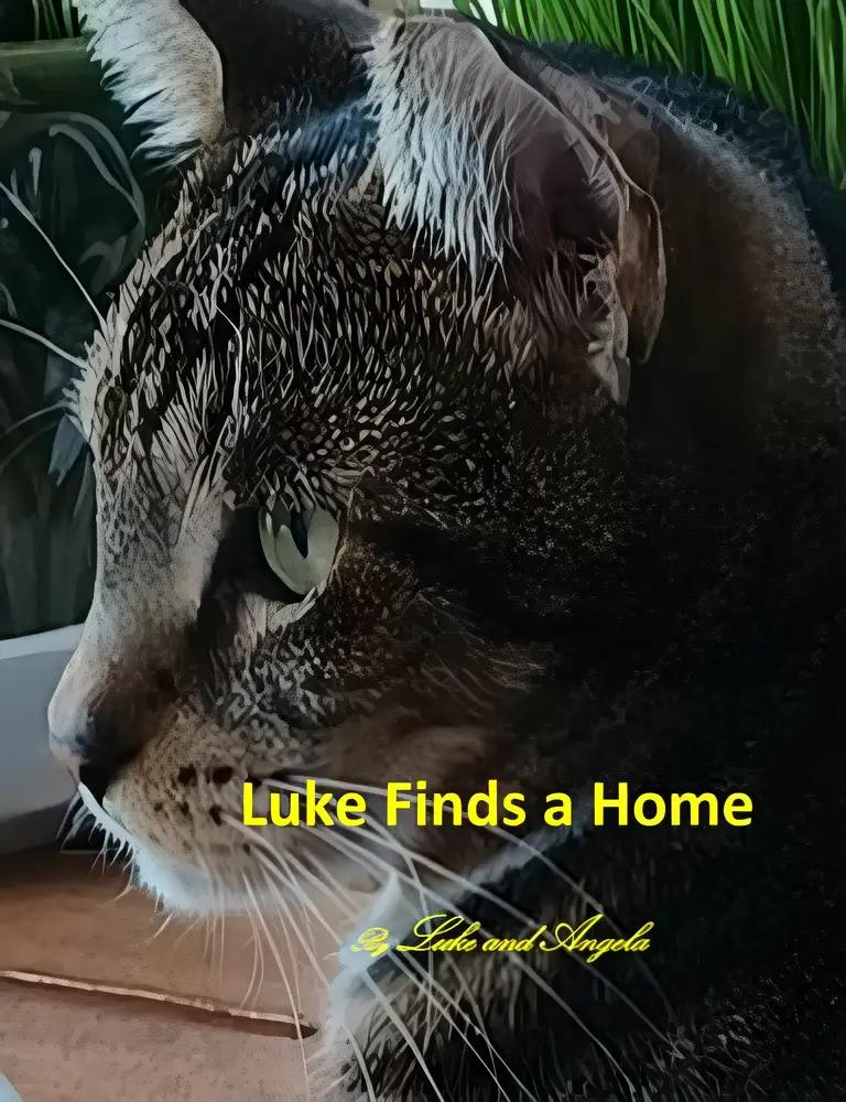 Luke Finds a Home