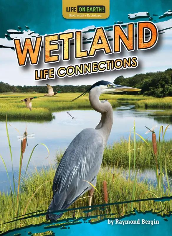 Wetland Life Connections