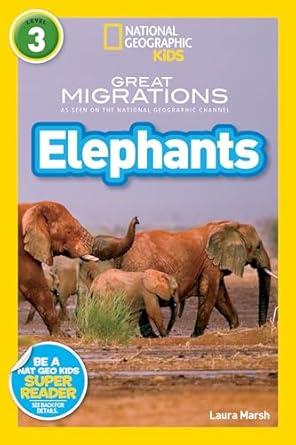 Elephants: Level 4