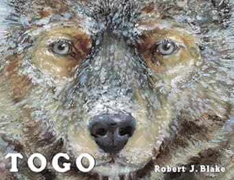 Read all about Togo Book cover of 'Togo'